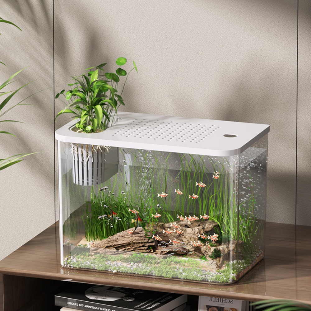 PET+ABS Fish Tank Transparent  – Aquarium Fish For Sale recenzja i cena