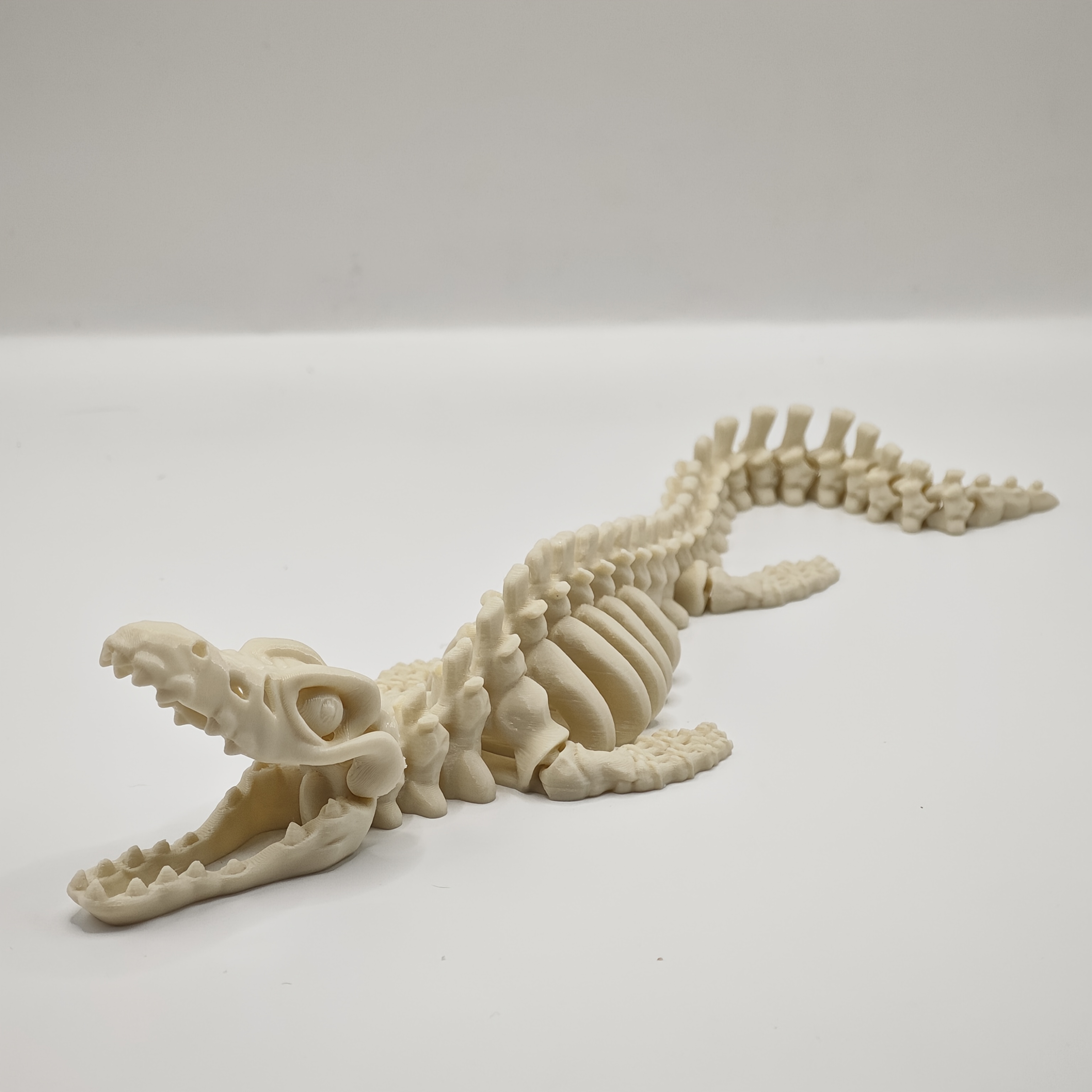 Realistic Canglong Skeleton Re – Aquarium Fish Reproduction recenzja i cena
