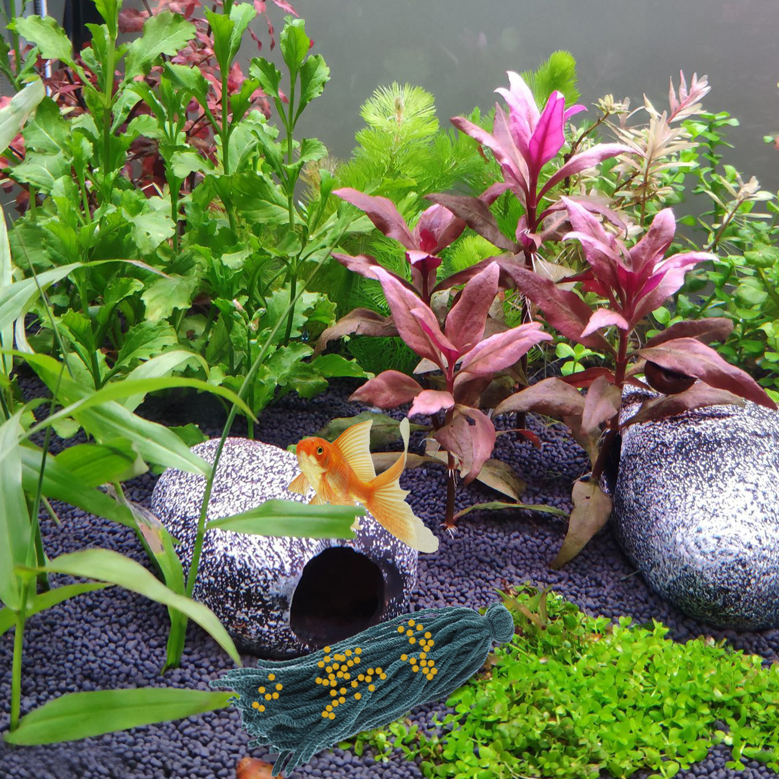 5 Pcs Mop Fish Floating Spawni – Aquarium Fish Reproduction recenzja i cena