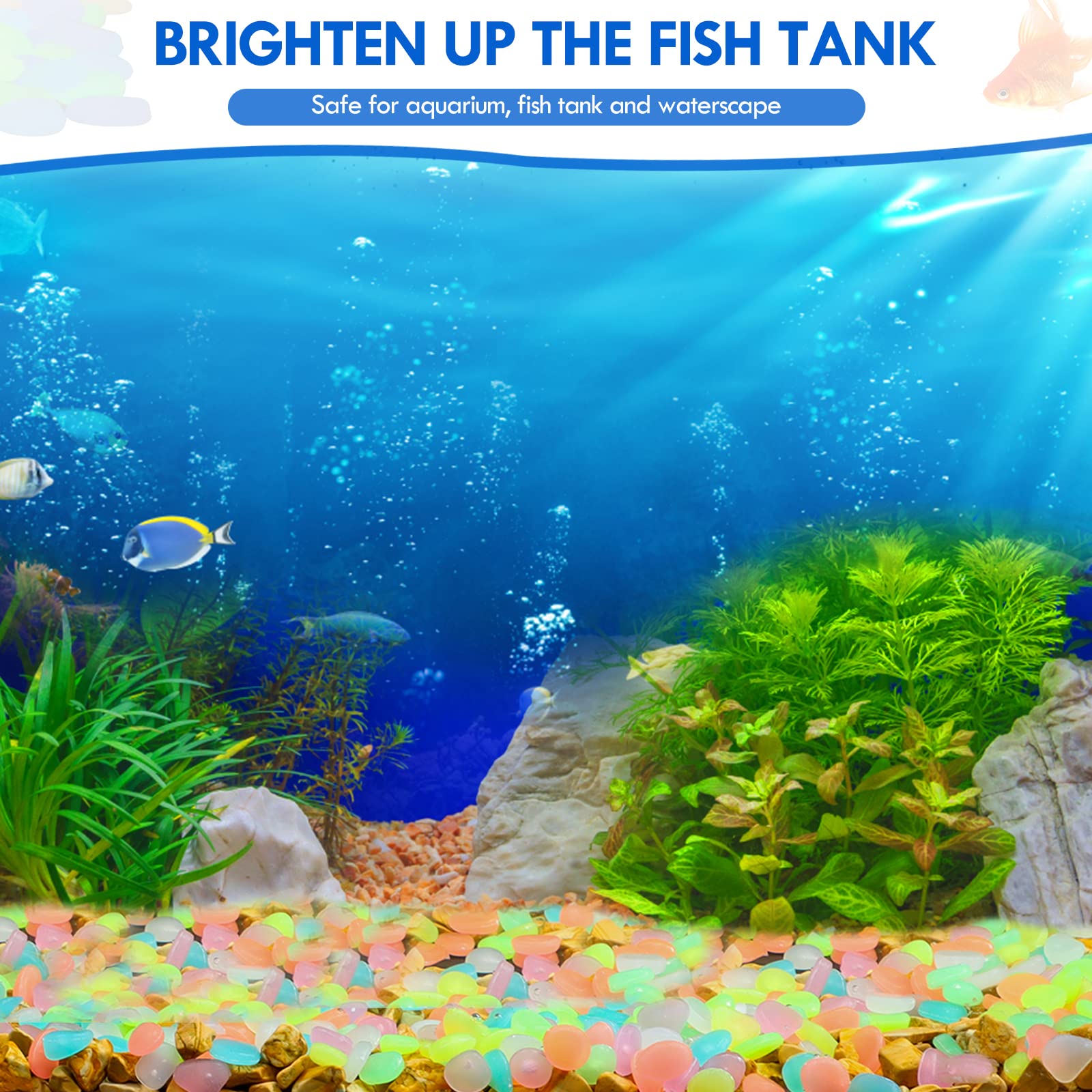 100Pcs Glow in the Dark Garden – Aquarium Fish Guppy recenzja i cena