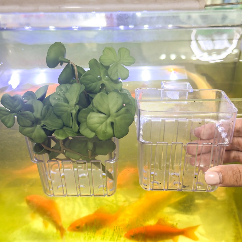 1/5pcs Aquarium Decoration Pla – Aquarium Fish Guppy recenzja i cena