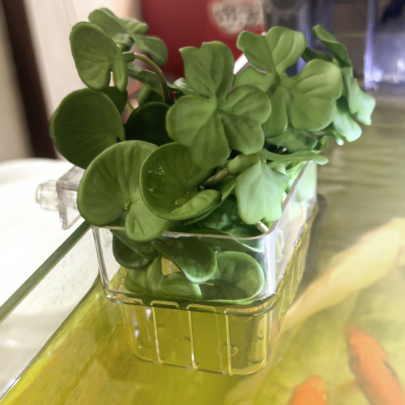 1/5pcs Aquarium Decoration Pla – Aquarium Fish Guppy recenzja i cena