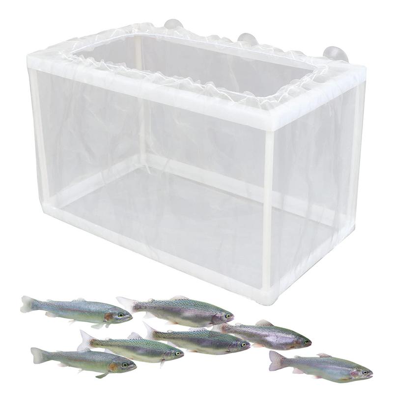 Fish Breeder Box with Suction, – Aquarium Fish For Sale recenzja i cena
