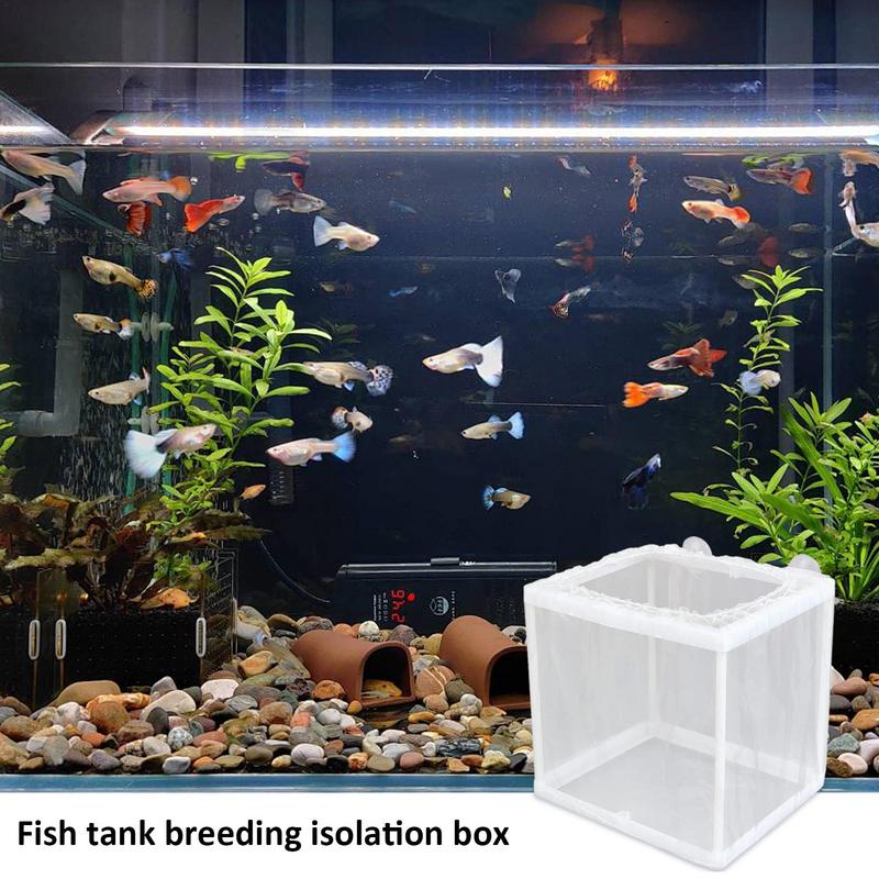 Fish Breeder Box with Suction, – Aquarium Fish For Sale recenzja i cena