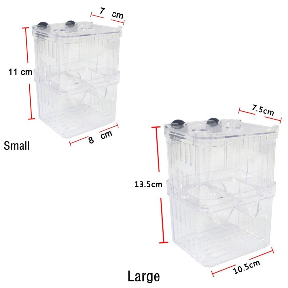 Multifunctional Aquarium Fish  – Aquarium Fish Reproduction recenzja i cena