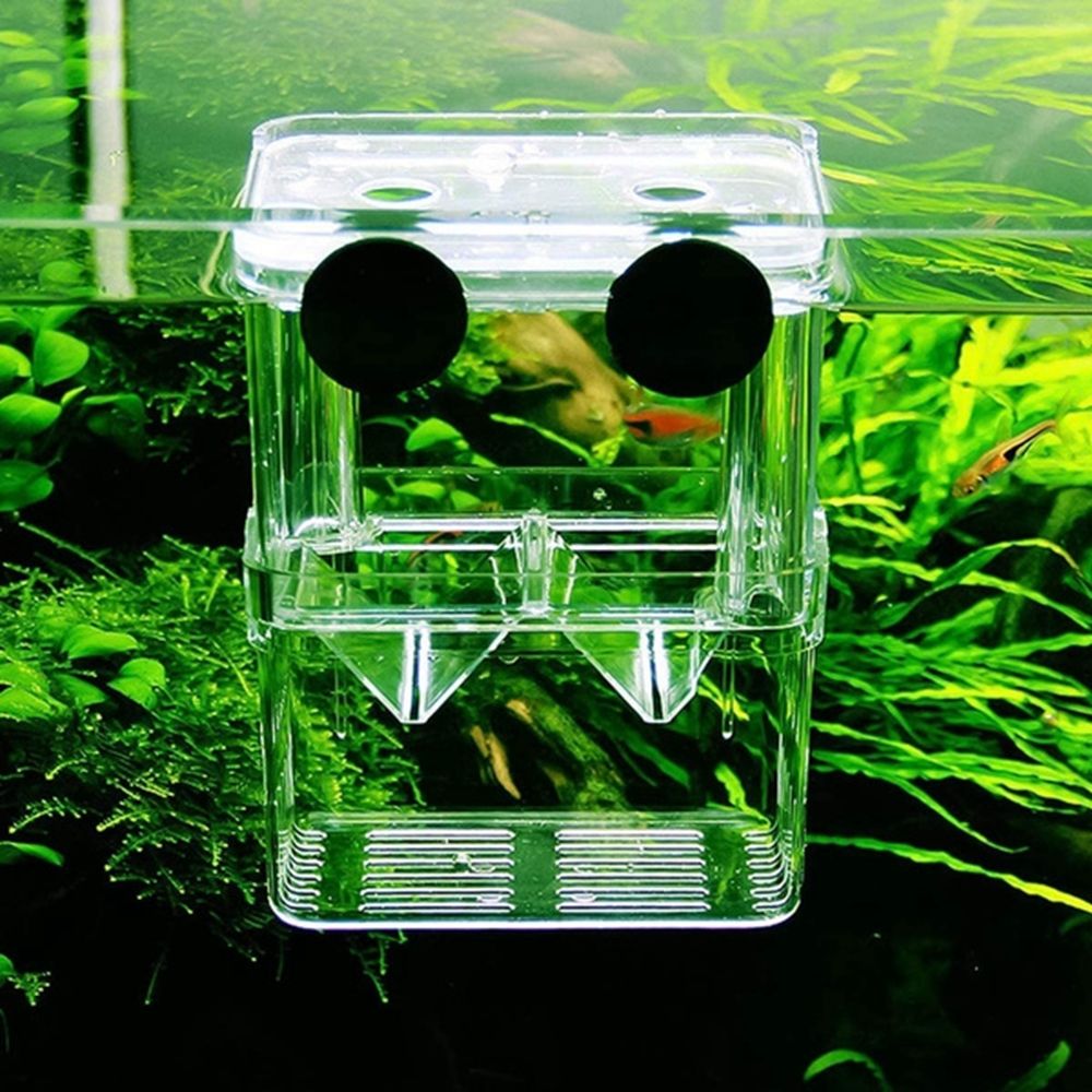 Multifunctional Aquarium Fish  – Aquarium Fish Reproduction recenzja i cena