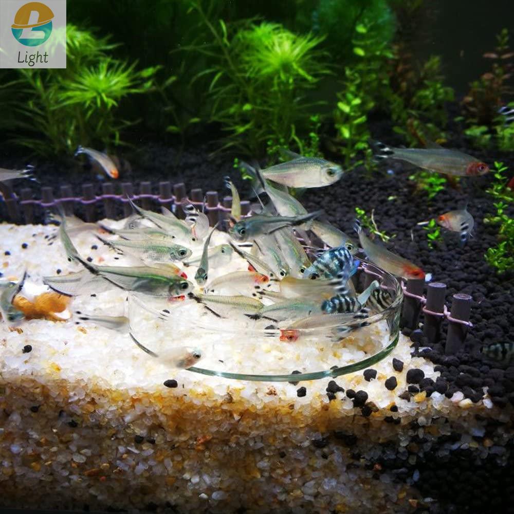 Aquarium Feeder Bowls Dish Cle – Aquarium Fish Keeping recenzja i cena