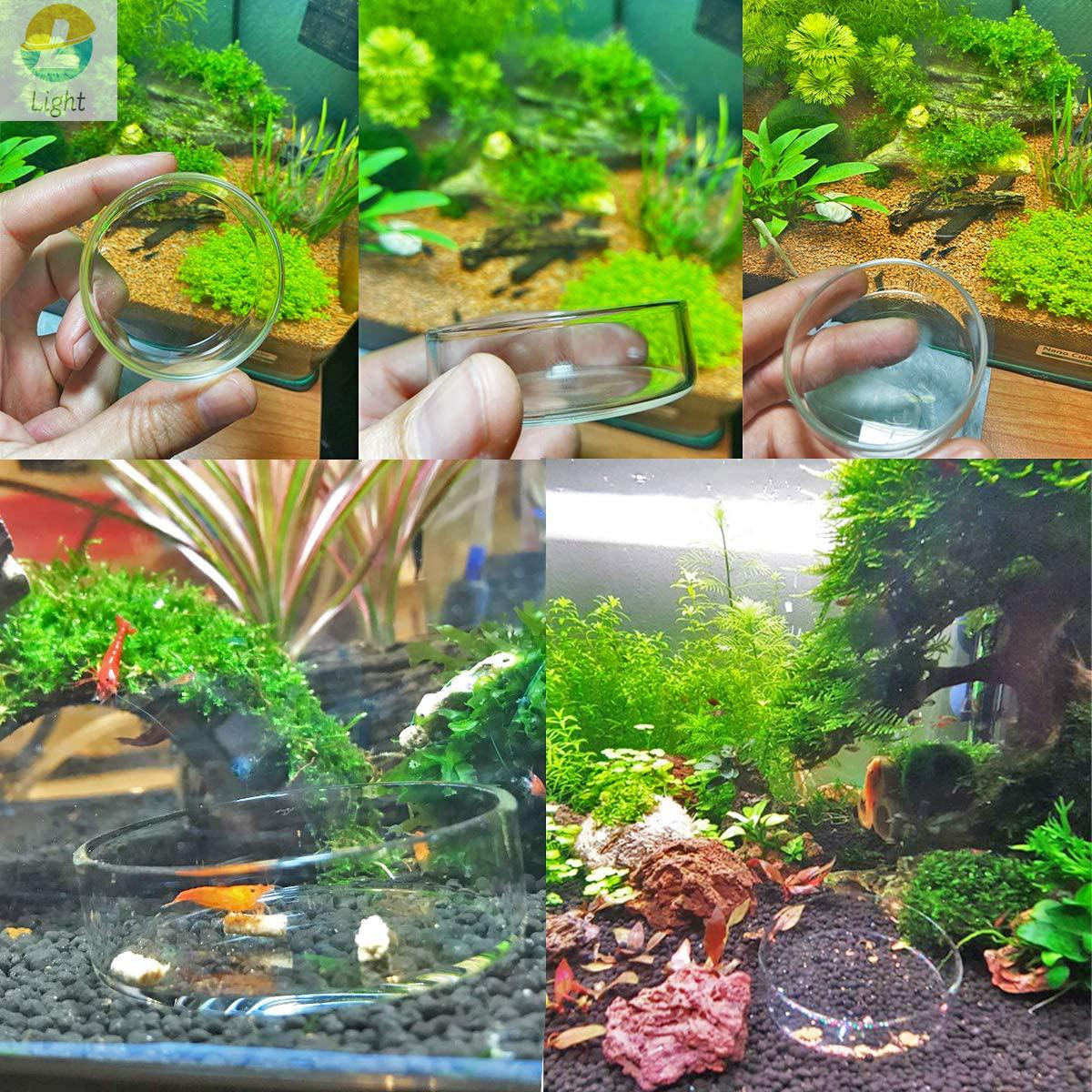 Aquarium Feeder Bowls Dish Cle – Aquarium Fish Keeping recenzja i cena